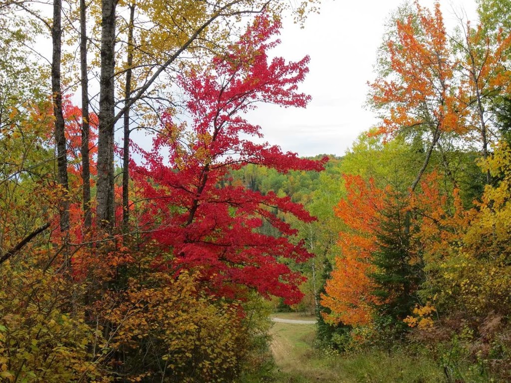 Domaine des Sous-Bois Inc | 801 Chem. du Lac à la Truite, Saint-Michel-des-Saints, QC J0K 3B0, Canada | Phone: (450) 803-3965