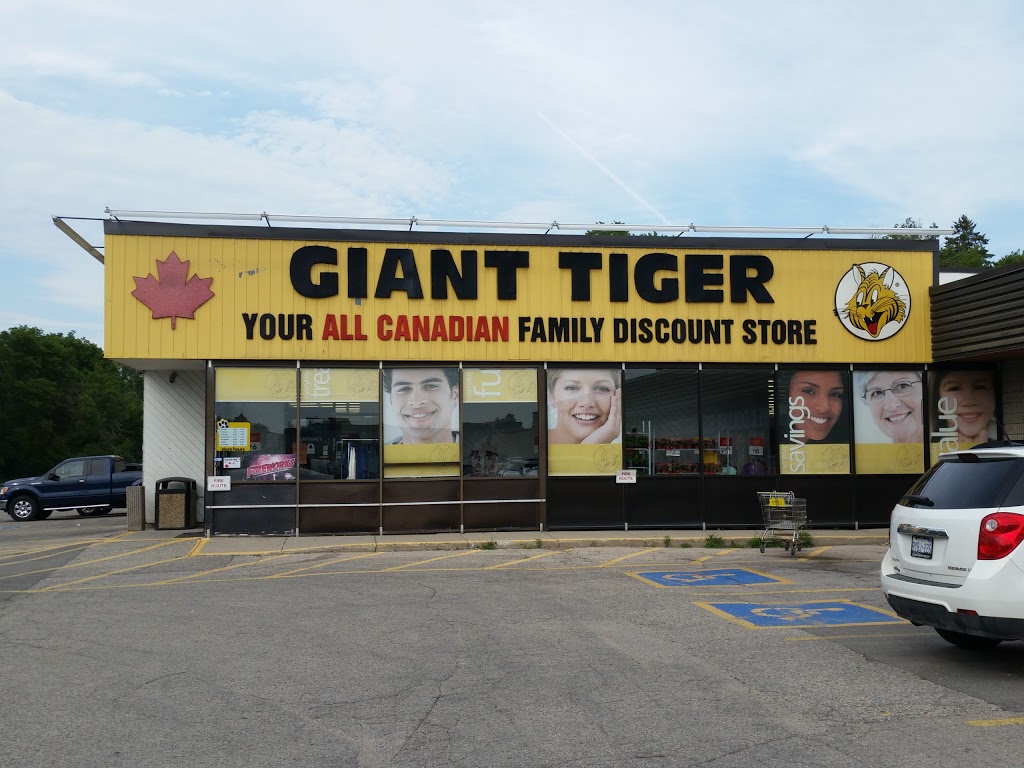 Giant Tiger | 111 Charles St E, Ingersoll, ON N5C 1J9, Canada | Phone: (519) 485-0520
