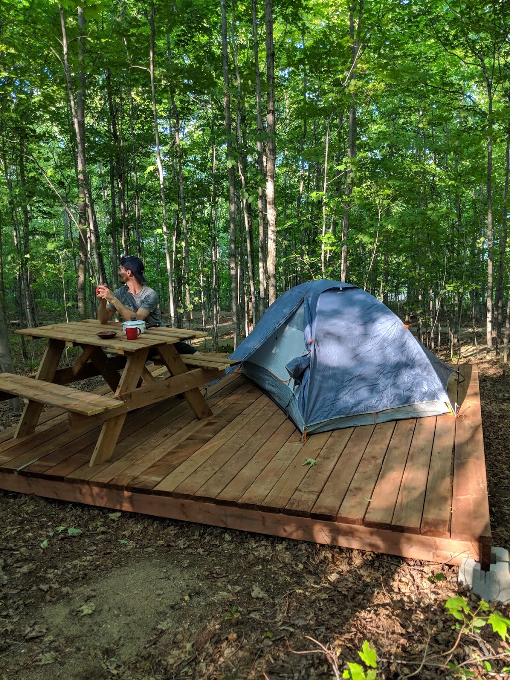 Camping du Domaine à Liguori | 1300 Rue Principale, Petite-Rivière-Saint-François, QC G0A 2L0, Canada | Phone: (418) 632-5653