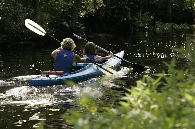 Les kayaks de La Rivière Sauvage | 345 Route Dostie, Saint-Romain, QC G0Y 1L0, Canada | Phone: (418) 486-2100