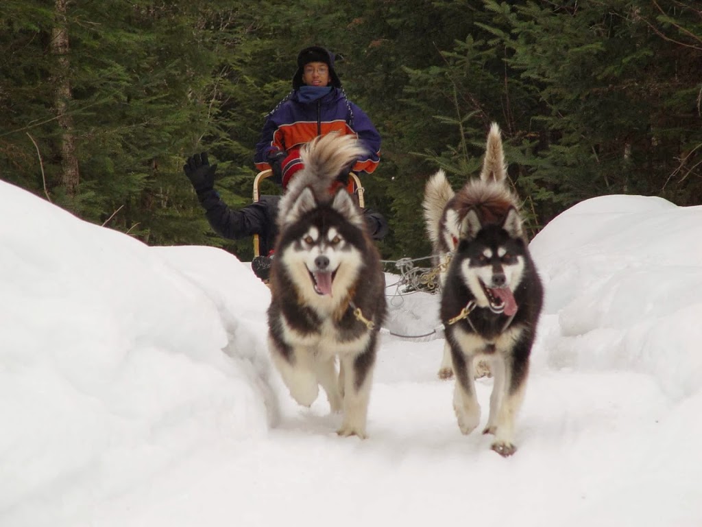 Gîte & Centre De Santé Des Loups | 98 1re Avenue, Stoneham-et-Tewkesbury, QC G3C 0L1, Canada | Phone: (418) 848-4483