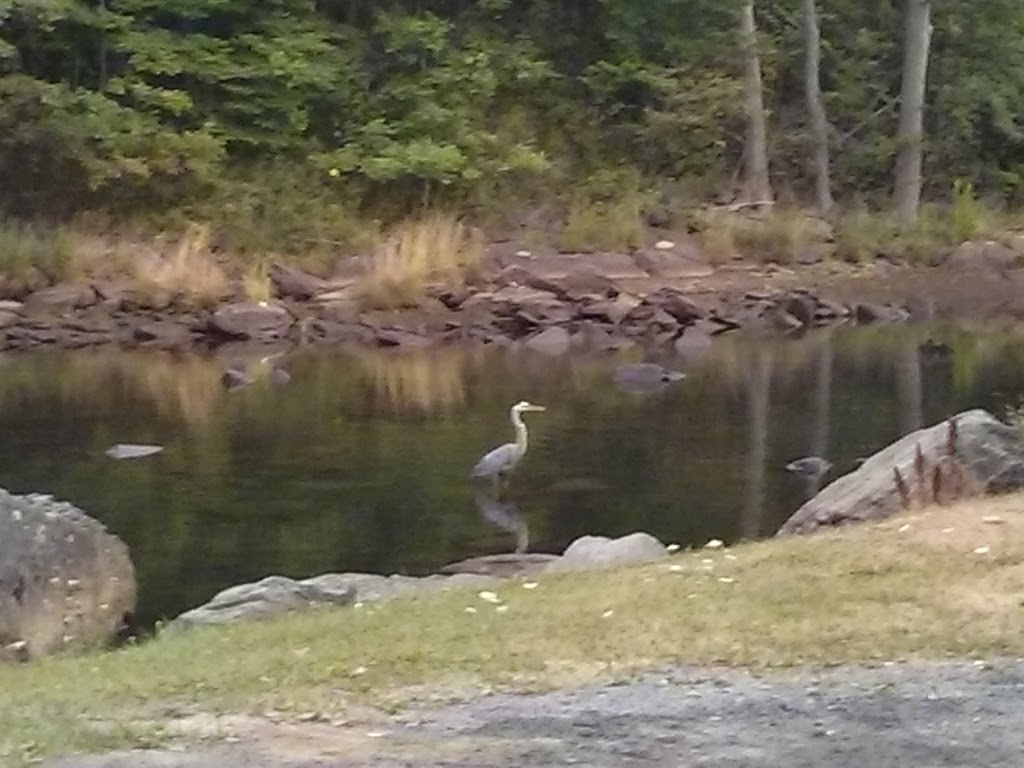 Fish Hatchery Park | Bedford Hwy, Bedford, NS B4A, Canada