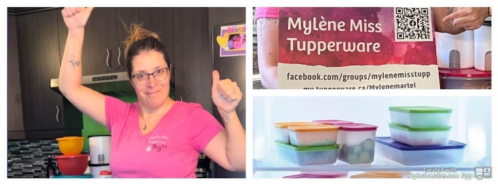 Mylene Miss Tupperware | 49 Rue Delphis, Sainte-Brigitte-de-Laval, QC G0A 3K0, Canada | Phone: (581) 305-7421