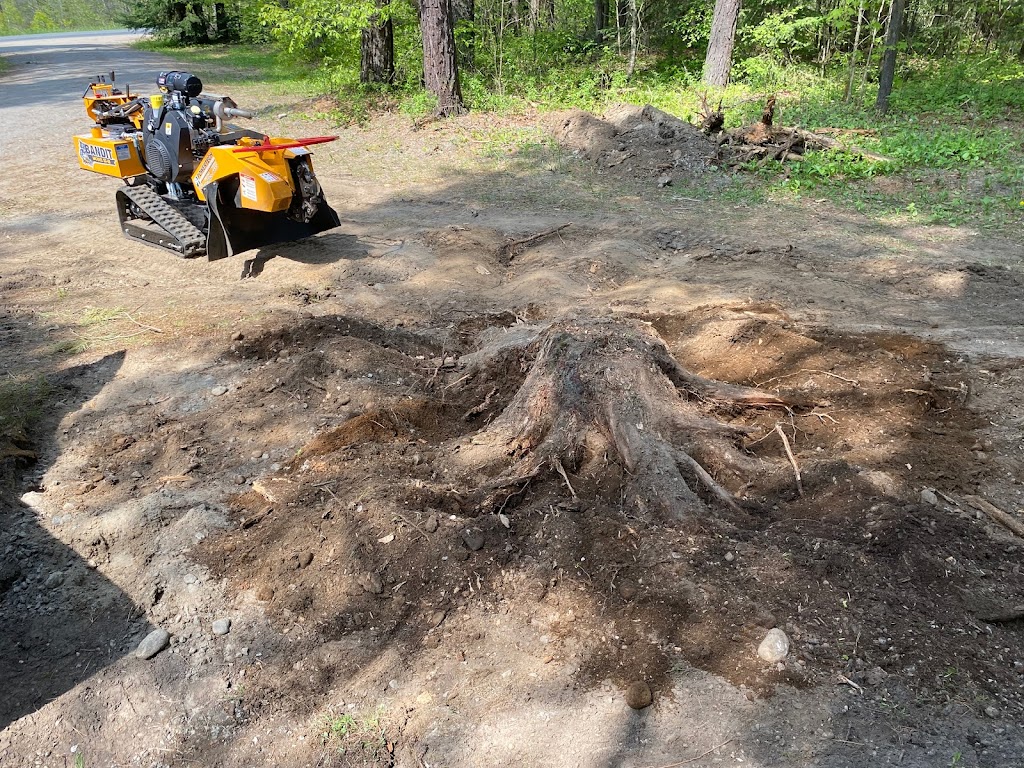 Stumpin’ Tom’s Stump Grinding | 1012 Wonderland Rd, Haliburton, ON K0M 1S0, Canada | Phone: (705) 455-2838