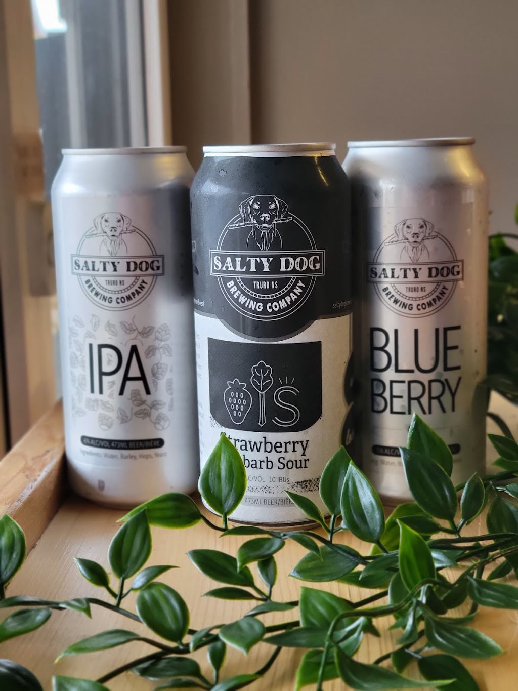 Salty Dog Brewing Company | 615 Prince St, Truro, NS B2N 1G2, Canada | Phone: (902) 895-2386