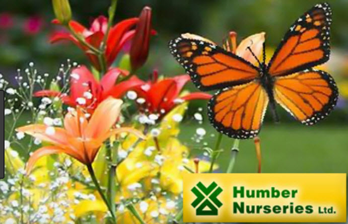 Humber Nurseries Ltd | 14905 Bramalea Rd, Caledon, ON L7C 2R5, Canada | Phone: (416) 798-8733