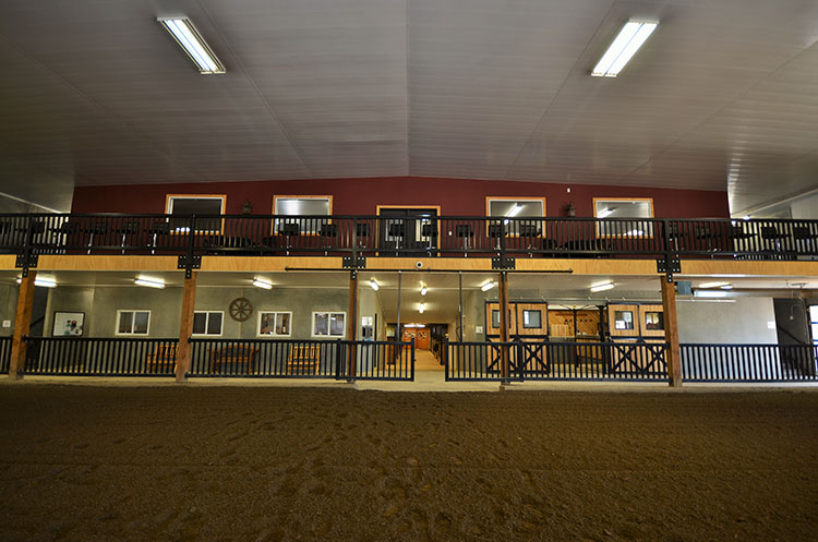 Horse In Hand Ranch Ltd. | Blackfalds, AB T0M 0J0, Canada | Phone: (403) 550-3440