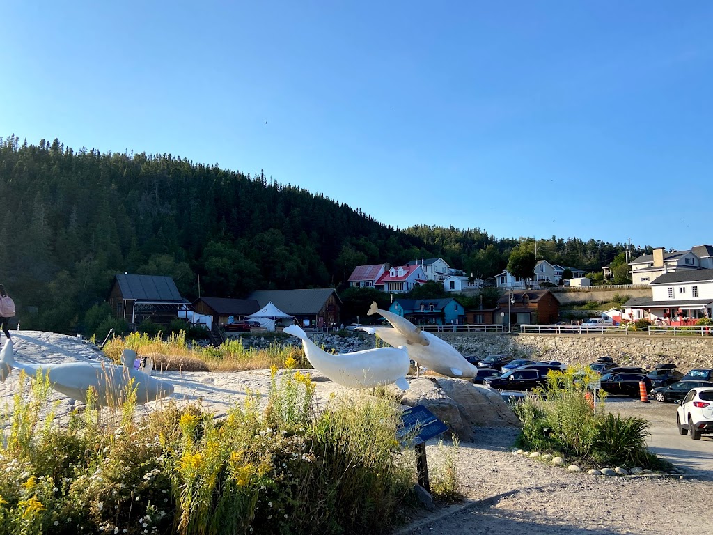 Marine Mammal Interpretation Centre | 108 Rue de la Cale Sèche, Tadoussac, QC G0T 2A0, Canada | Phone: (418) 235-4701