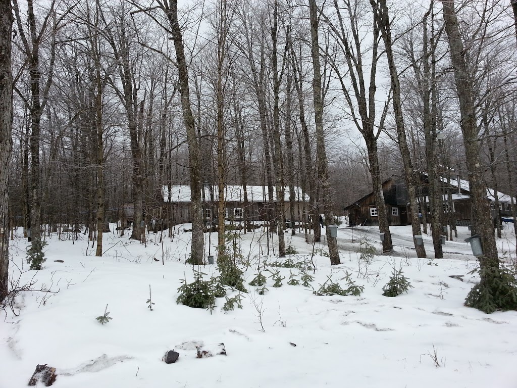 Cabane à Sucre Bellavance inc. | 733 Chemin Bellavance, Sainte-Cécile-de-Whitton, QC G0Y 1J0, Canada | Phone: (819) 583-0441