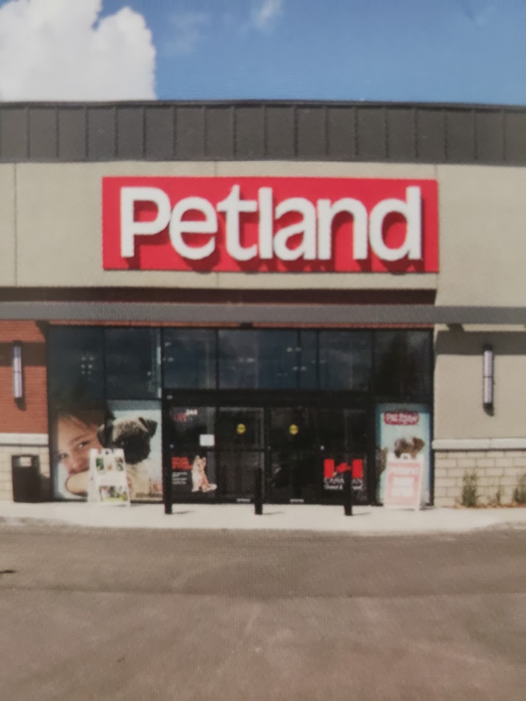 Petland | 244 Watt Common SW, Edmonton, AB T6X 1X2, Canada | Phone: (587) 520-1092