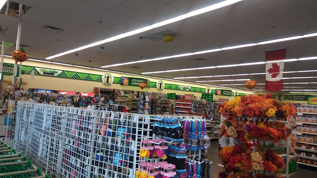 Dollar Tree | 4404 17 St NW, Edmonton, AB T6T 0C1, Canada | Phone: (780) 463-6937