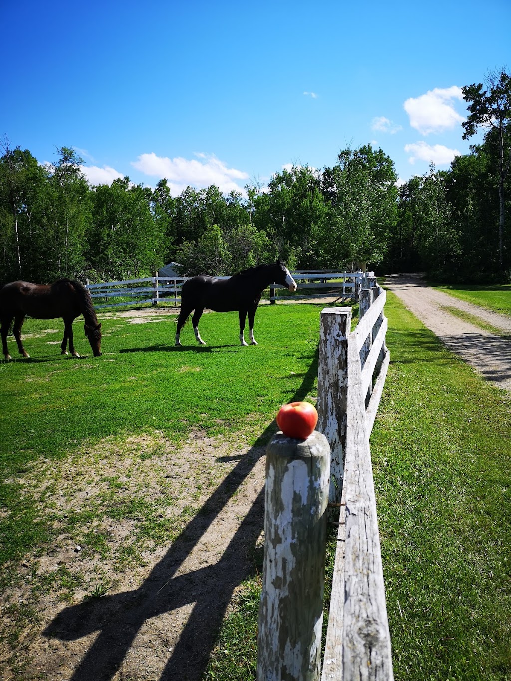 Ranger Lake Bible Camp | Unnamed Rd 0V0, Cando, SK S0M 2S0, Canada | Phone: (888) 406-1733