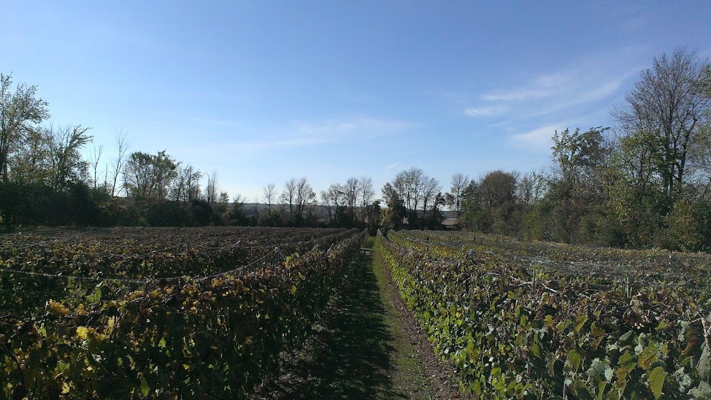 Vignoble Émile-Auguste | 60 Mnt Guay, Saint-Bernard-de-Lacolle, QC J0J 1V0, Canada | Phone: (450) 524-3649