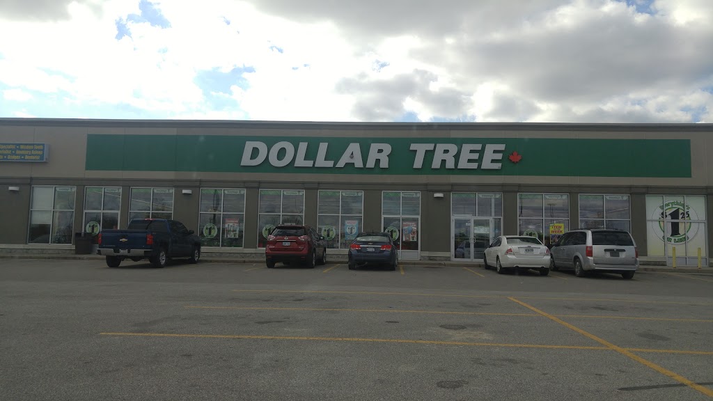 Dollar Tree | 60 McNaughton Unit 68- 1&2, Wallaceburg, ON N8A 1R9, Canada | Phone: (519) 627-7164