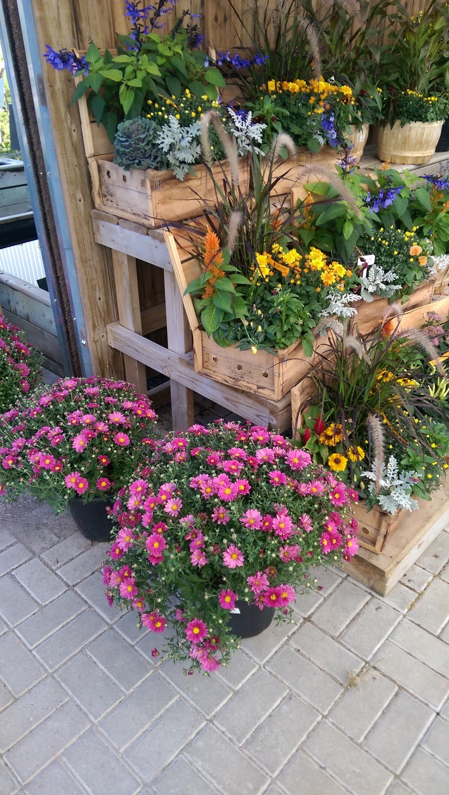 Connon Nurseries | 956A Old Highway #2, Trenton, ON K8V 5P5, Canada | Phone: (613) 392-0402