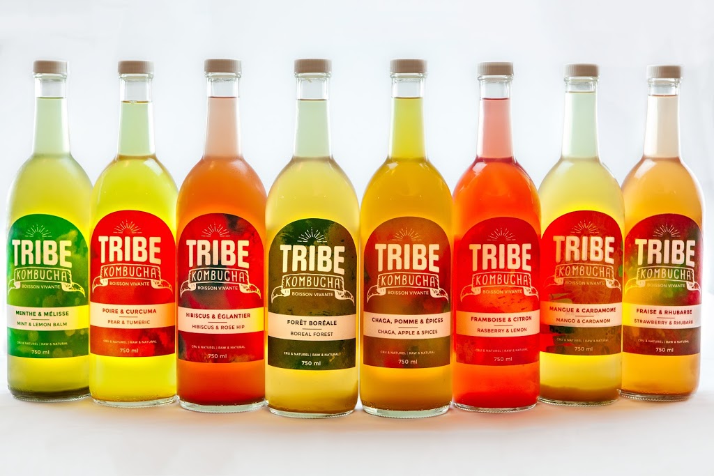 Tribe Kombucha | 1775 QC-117, Val-David, QC J0T 2N0, Canada | Phone: (819) 216-0674