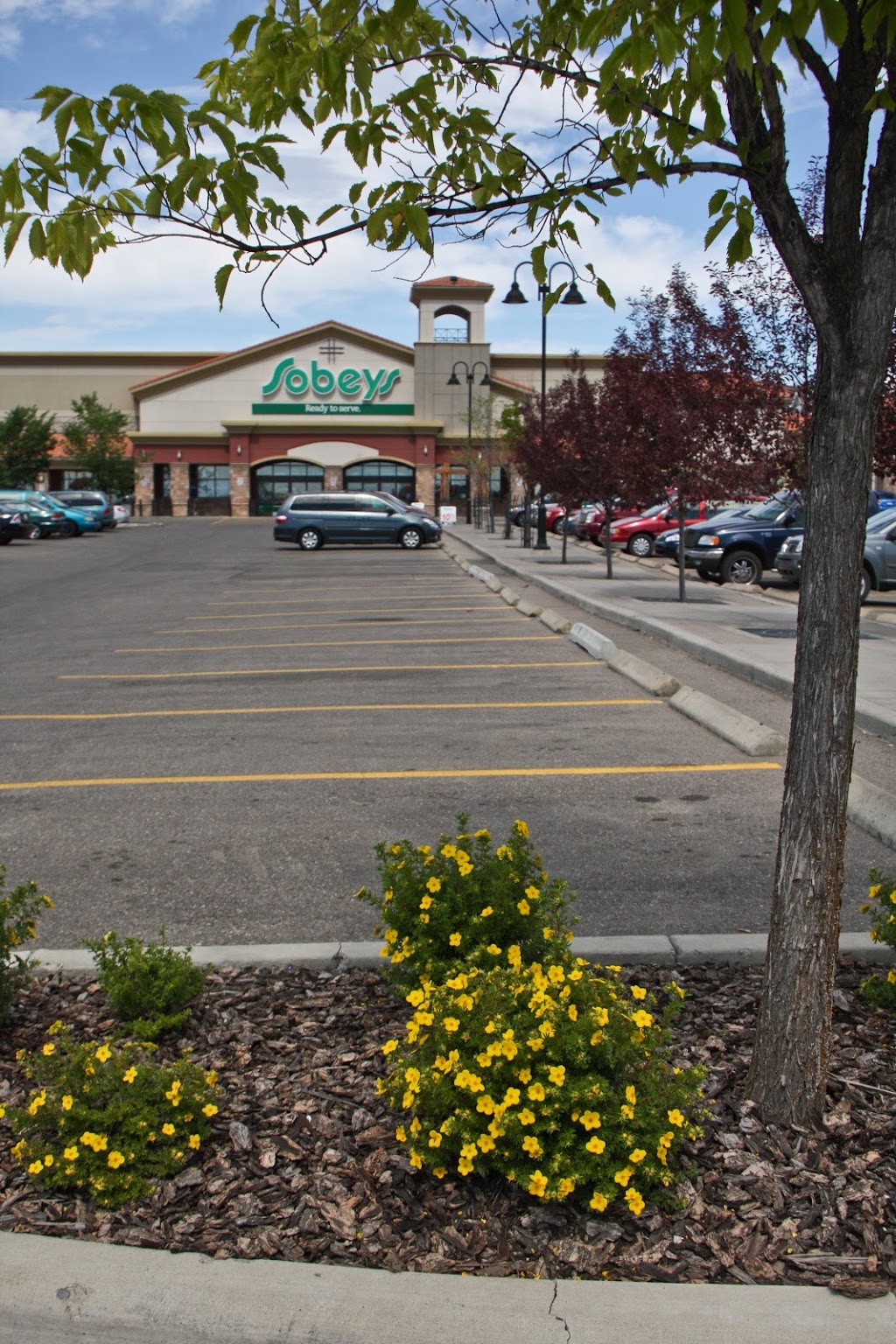 Sobeys Pharmacy Tuscany Blvd | 2020-11300 Tuscany Blvd NW, Calgary, AB T3L 2V7, Canada | Phone: (403) 375-0577