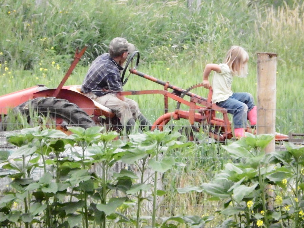 Twin Creeks Farm | 205045 ON-26, Owen Sound, ON N4K 5W4, Canada | Phone: (519) 538-4704