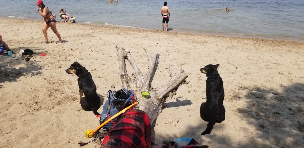 Winnipeg Beach Dog Beach | Winnipeg Beach, MB, Canada