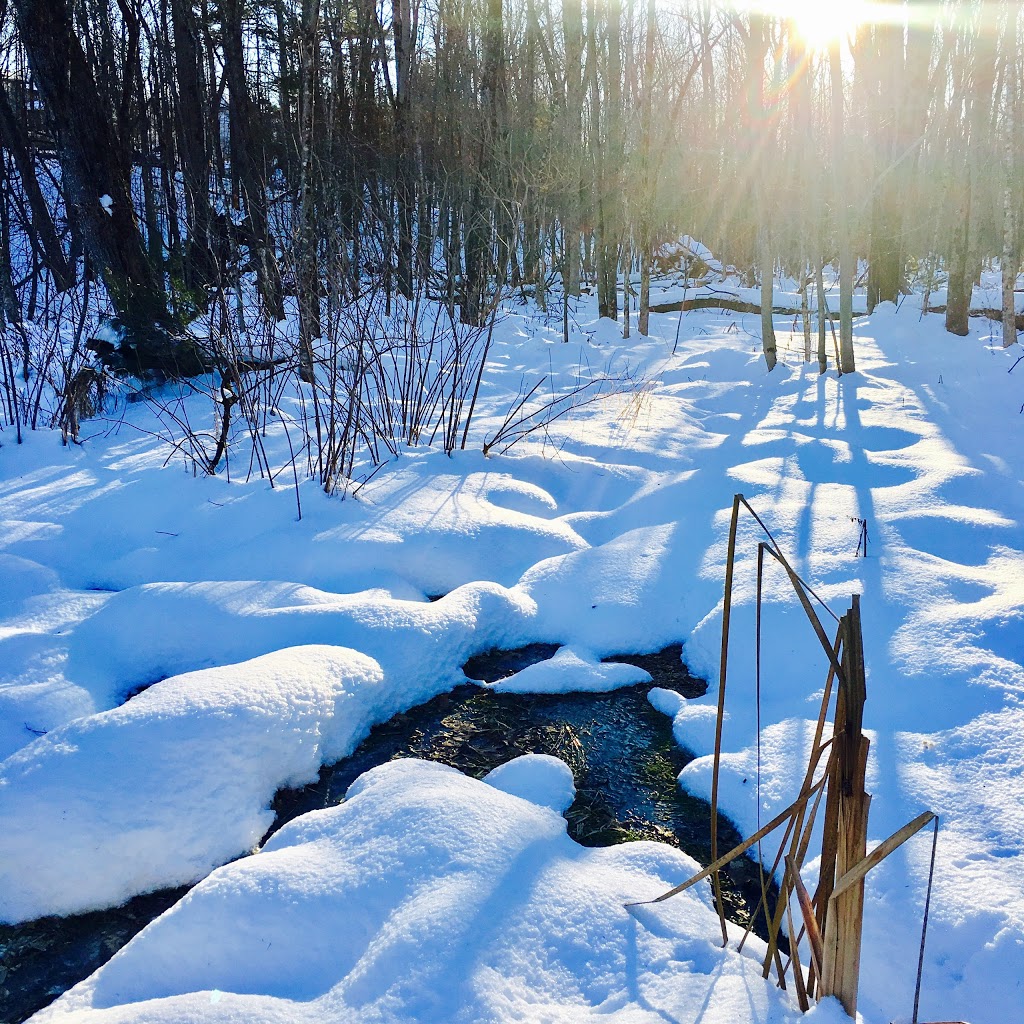 Monk Environmental Park | South March, Ottawa, ON K2K 1X7, Canada