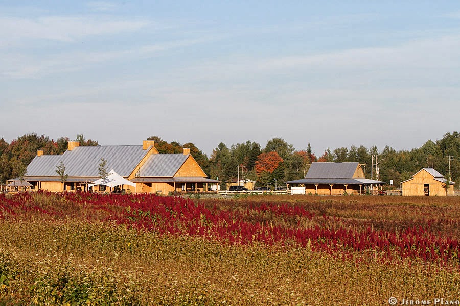 Ferme Nouvelle-France | 2581 Rang Augusta, Sainte-Angèle-de-Prémont, QC J0K 1R0, Canada | Phone: (819) 268-4159