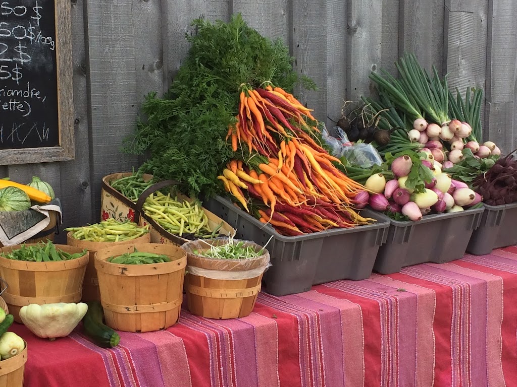 Jardin À tout vent | 292 Rang 2, Saint-Germain, QC G0L 3G0, Canada | Phone: (418) 551-7198