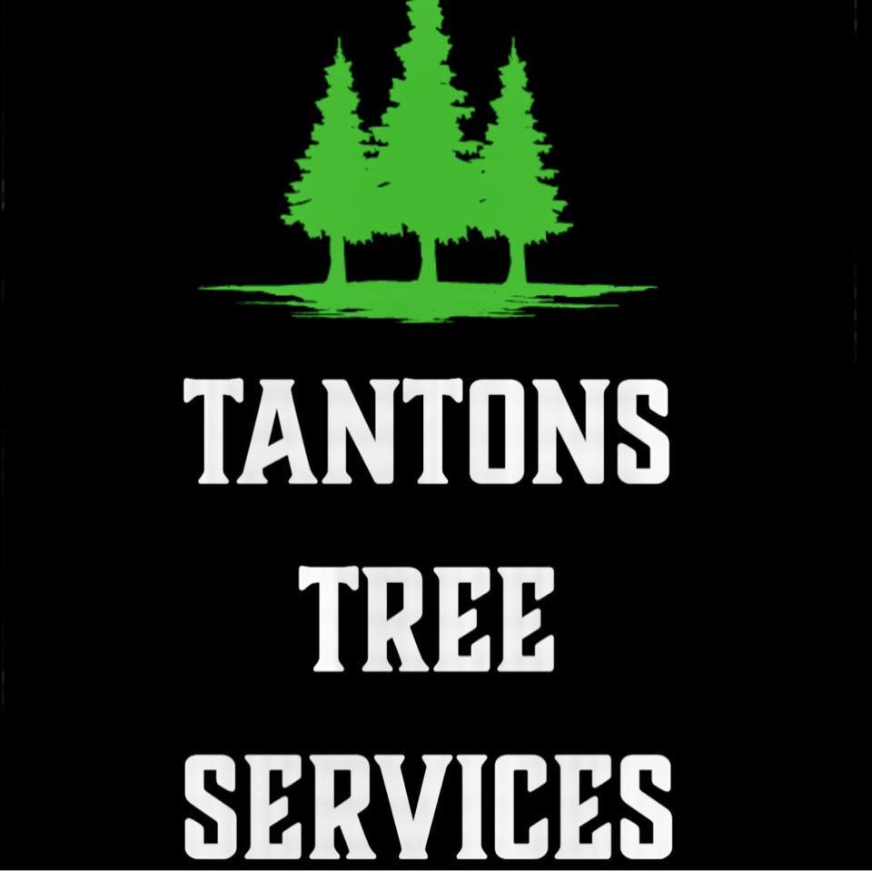 Tantons Tree Services | 96 Brook St, Tara, ON N0H 2N0, Canada | Phone: (519) 386-3577