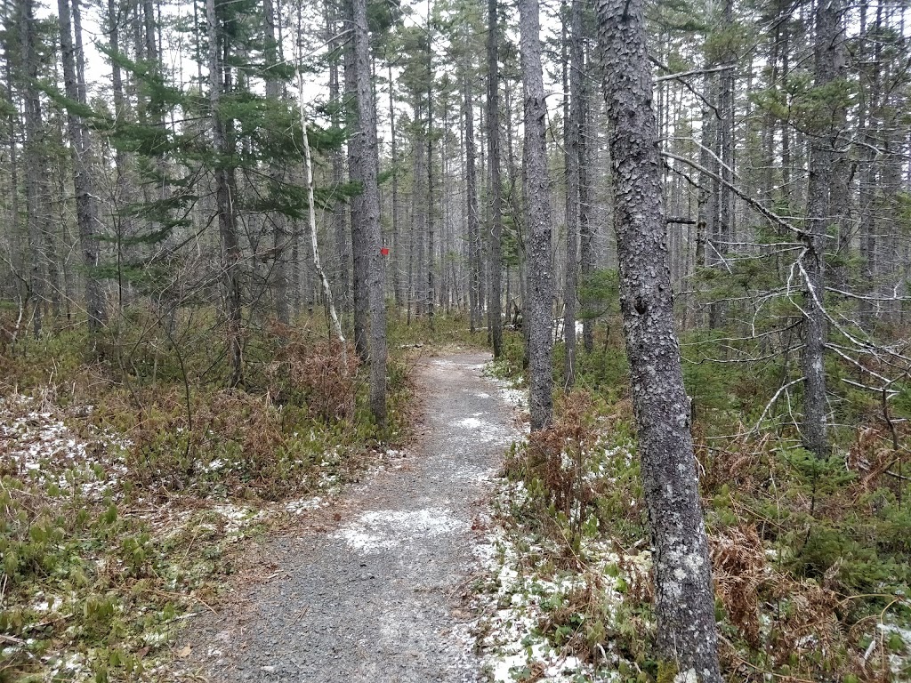 9 Mile River Trails | 1143 Enfield Rd, Nine Mile River, NS B2S 2T7, Canada