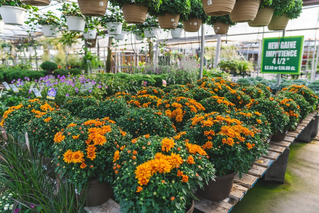 Les Serres Robert Plante Greenhouses | 4228 Navan Rd, Navan, ON K4B 1H9, Canada | Phone: (613) 835-9266