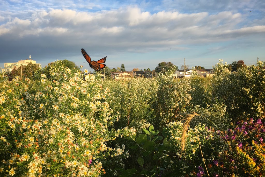 Veterans Point Gardens | Waterfront Trail, Ajax, ON L1S 3Z3, Canada | Phone: (905) 683-4550