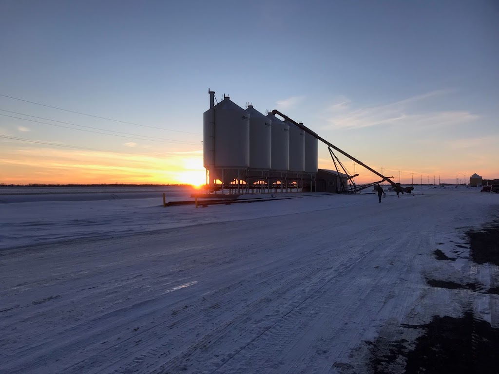 Red River Grain Co. | 4019 NW 9 Avenue, Altona, MB R0G 0B1, Canada | Phone: (204) 216-1006