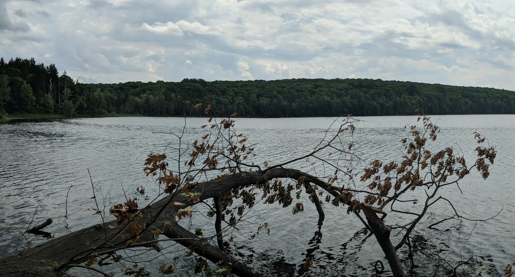 Wendat Hiking Trail | Unnamed Road, Tiny, ON L0K, Canada