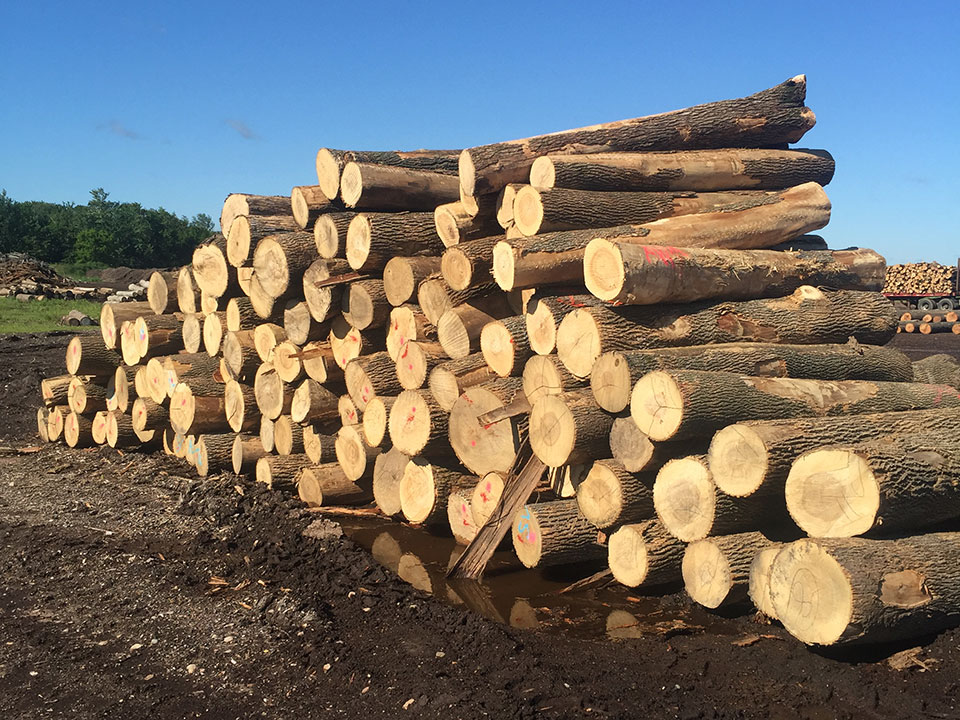 London Forest Products | 11 Ridge Rd, Bancroft, ON K0L 1C0, Canada | Phone: (613) 332-1135