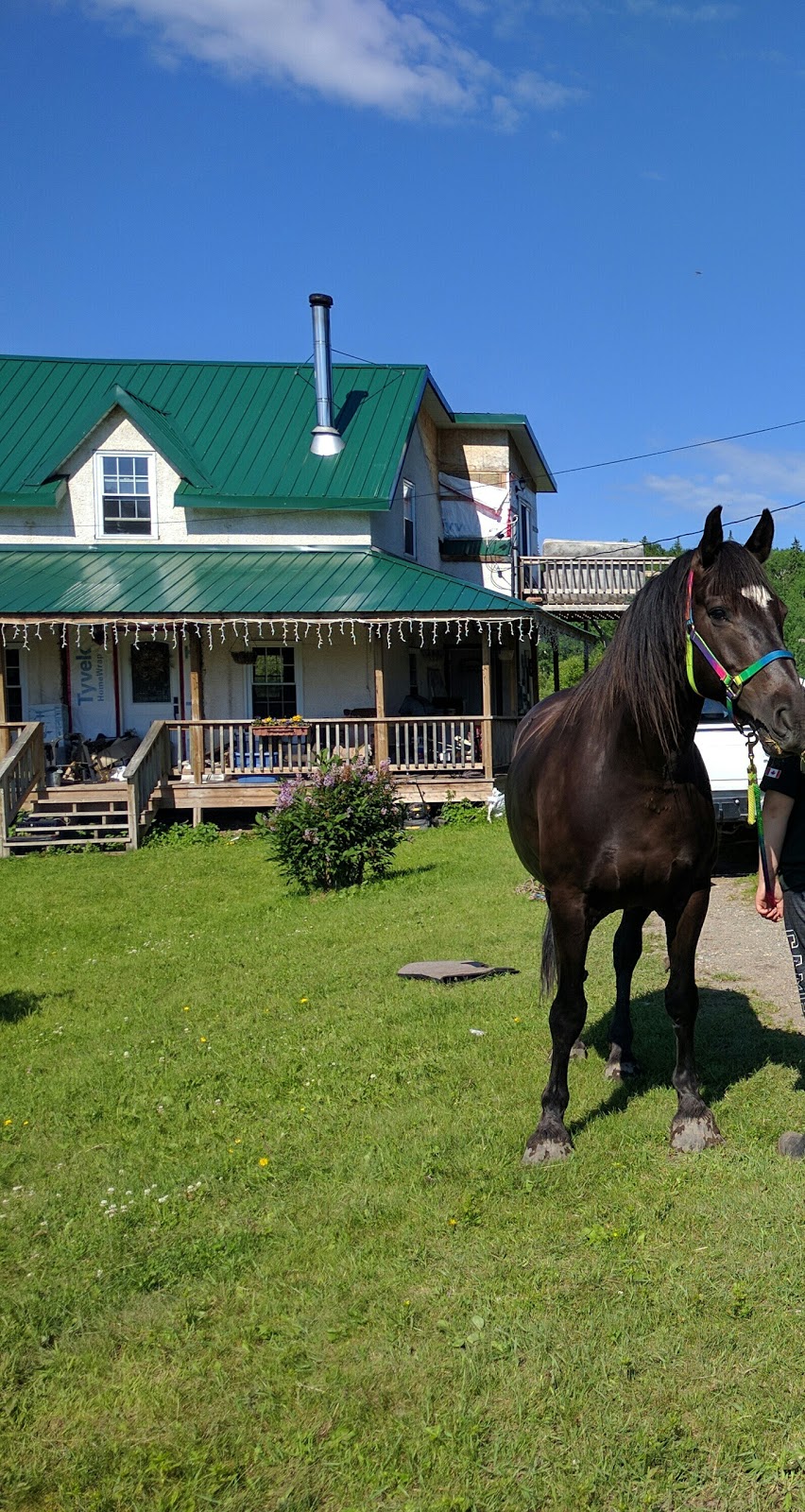 Whispered Dreams Ranch | Shabaqua Corners, Shebandowan, ON P0T 2T0, Canada | Phone: (807) 933-0467