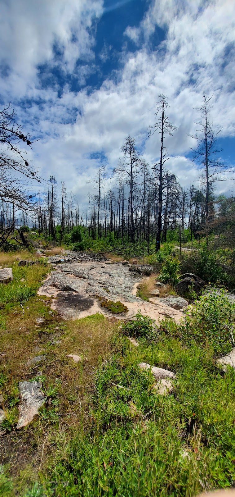 Whiteshell River Self-guiding Trail | MB-312, Whiteshell, MB R0E 2H0, Canada | Phone: (204) 369-3157