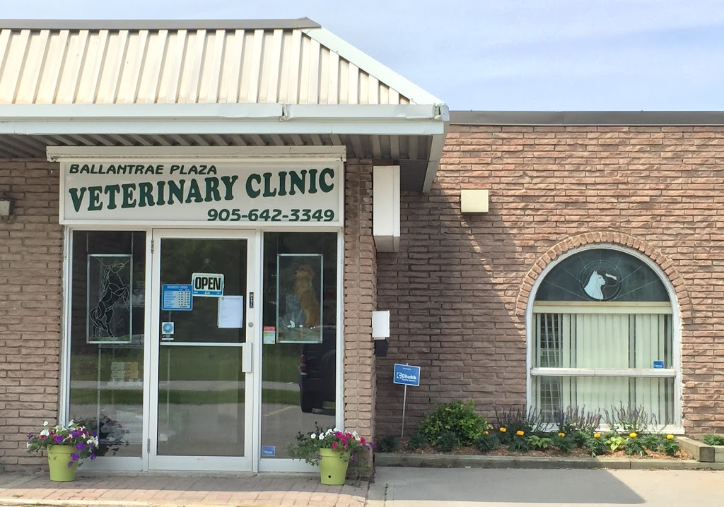 Ballantrae Plaza Veterinary Clinic | 1 Felcher Blvd #1B, Whitchurch-Stouffville, ON L4A 7X4, Canada | Phone: (905) 642-3349