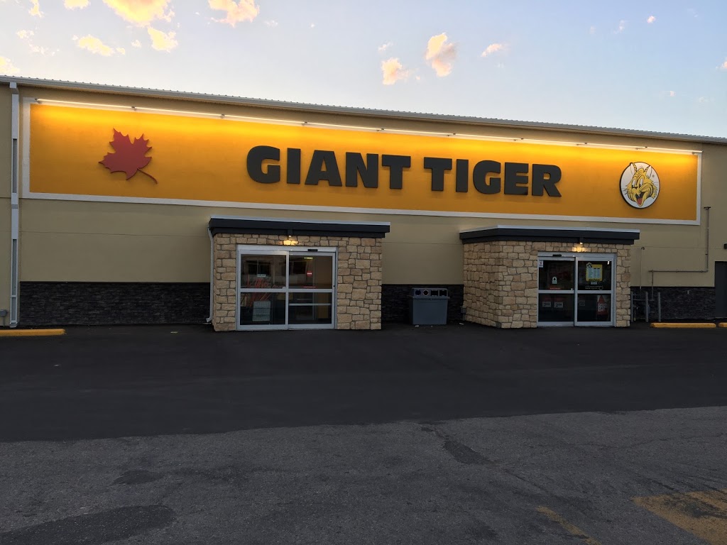 Giant Tiger | 320 Main St, Steinbach, MB R5G 1Z1, Canada | Phone: (204) 346-1807