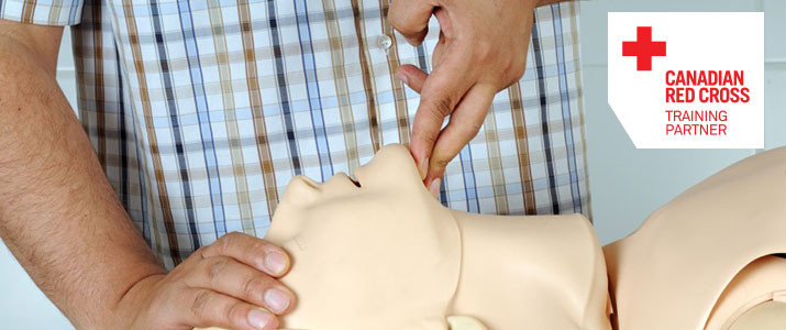 First Aid 4U Training | 580 Hespeler Rd, Cambridge, ON N1R 6J8, Canada | Phone: (866) 966-4566