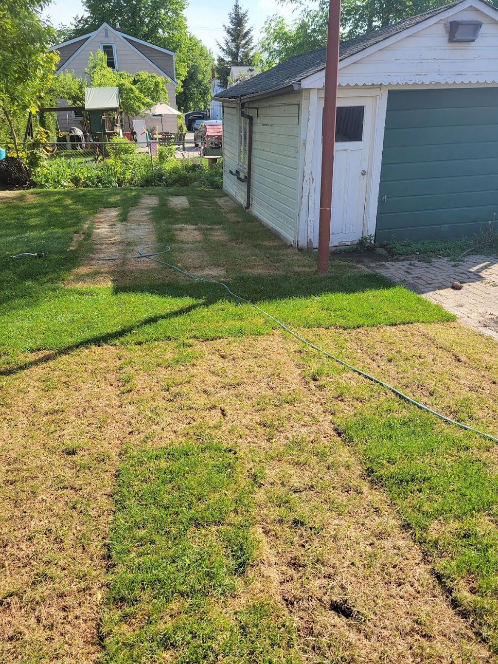 Greenhorizons Sod Farms - Hamilton Sod | 2907 Upper James St, Mount Hope, ON L0R 1W0, Canada | Phone: (905) 389-1315