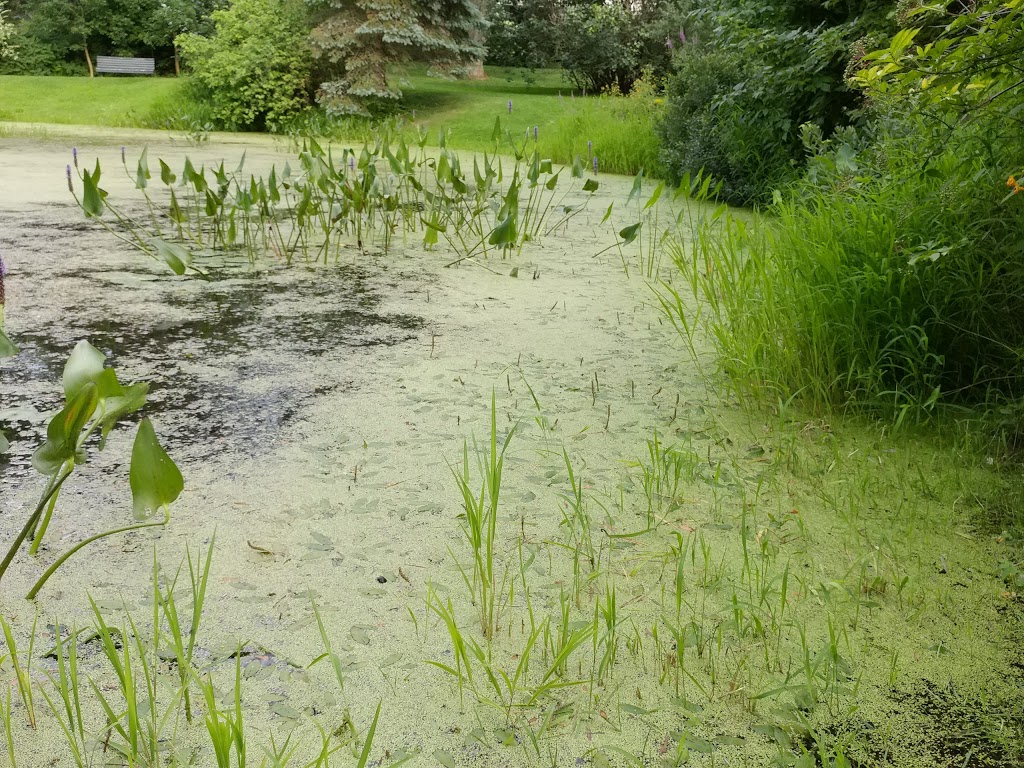 Parc Camille-Rouillard | Valcourt, QC J0E 2L0, Canada