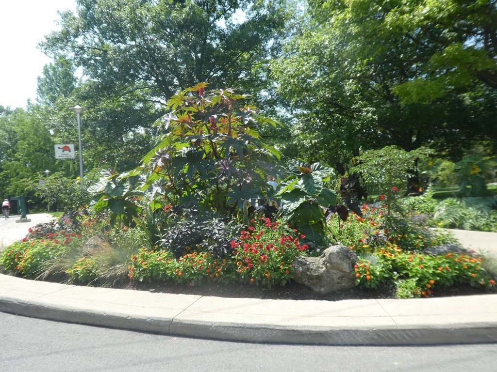 High Park Allotment Garden | High Park-Swansea, Toronto, ON M6R, Canada | Phone: 416-392-8188