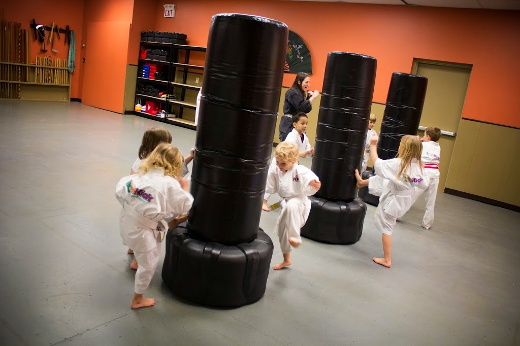 Driftwood Martial Arts Inc. | 1624 Highland Rd W #1, Kitchener, ON N2N 3K7, Canada | Phone: (519) 579-5656