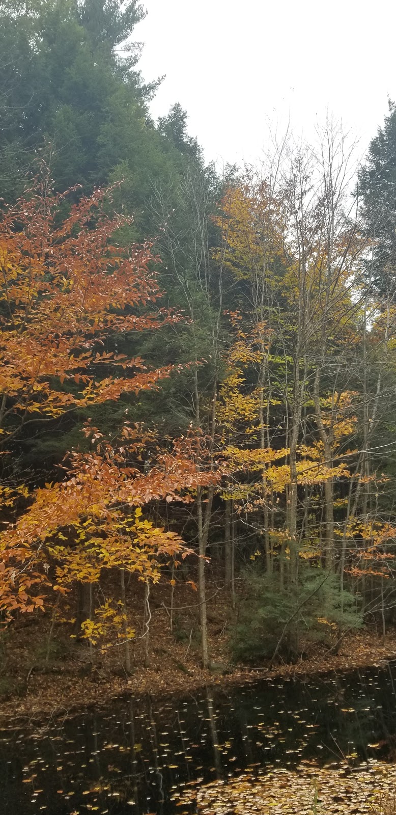 Montagne Rougemont | Rougemont, QC J0L 1M0, Canada