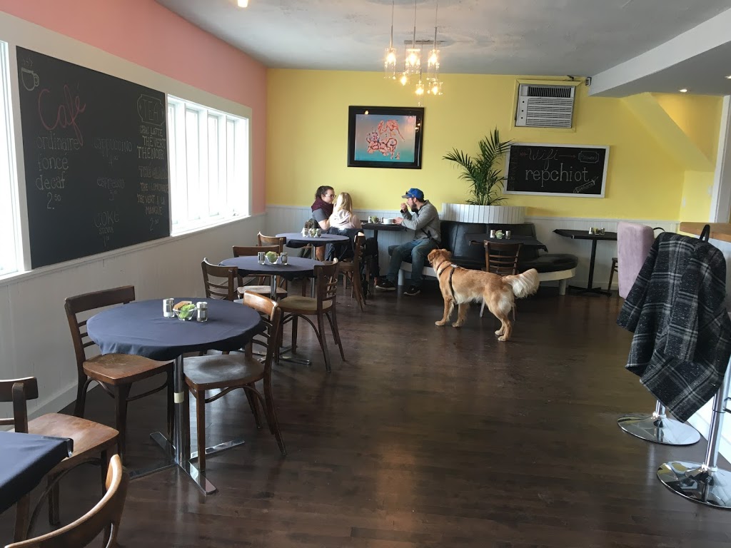 République de Chiots / Puppy Republic | 277 Boulevard Saint-Jean-Baptiste, Châteauguay, QC J6K 3C4, Canada | Phone: (514) 409-0982