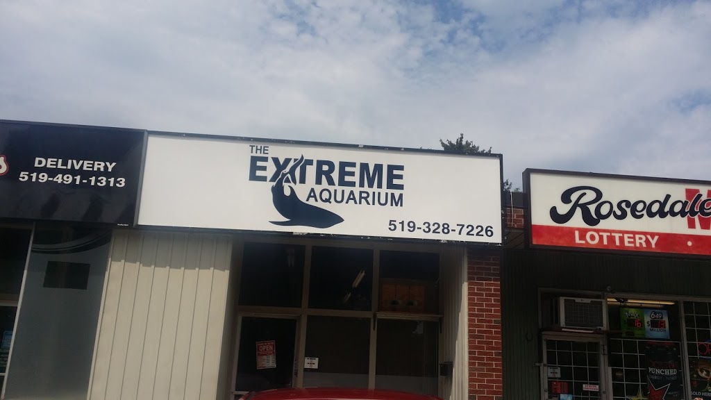 The Extreme Aquarium | 782 Rosedale Ave, Sarnia, ON N7V 2A1, Canada | Phone: (519) 328-7226