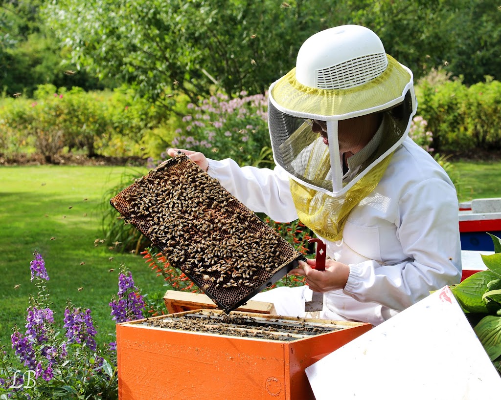 Intermiel - Honey & Meadery | 10291 Rang de la Fresnière, Mirabel, QC J7N 3M3, Canada | Phone: (450) 258-2713