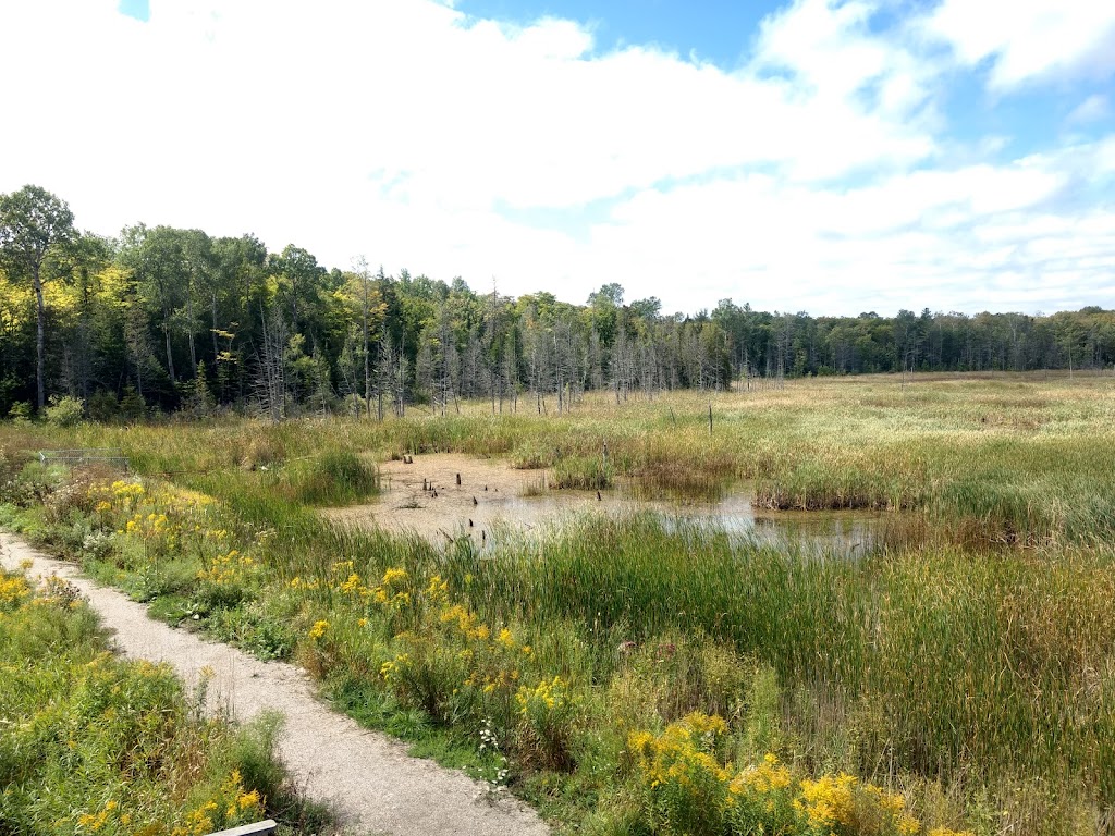 Lindsay Tract Trail | Northern Bruce Peninsula, ON N0H 1X0, Canada | Phone: (800) 268-3838