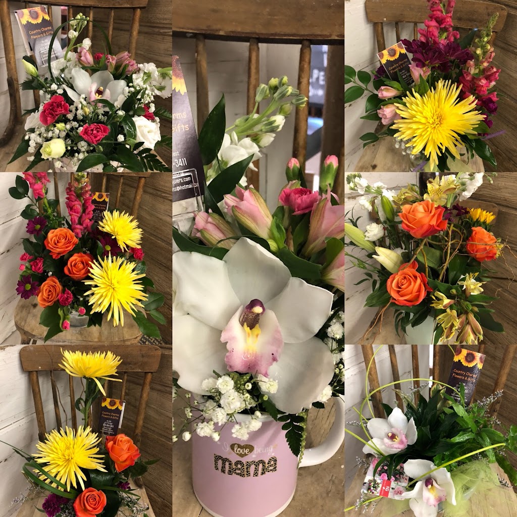 Country Charms Flowers & Gifts | Back Lane, 217 5 Ave E, Hanna, AB T0J 1P0, Canada | Phone: (403) 854-3411