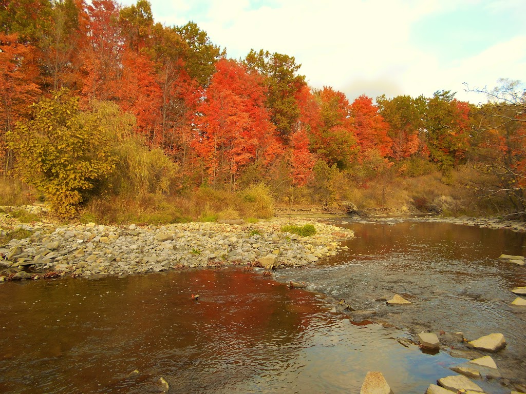 Esther Lorrie Park | Etobicoke, ON M9W 3M6, Canada