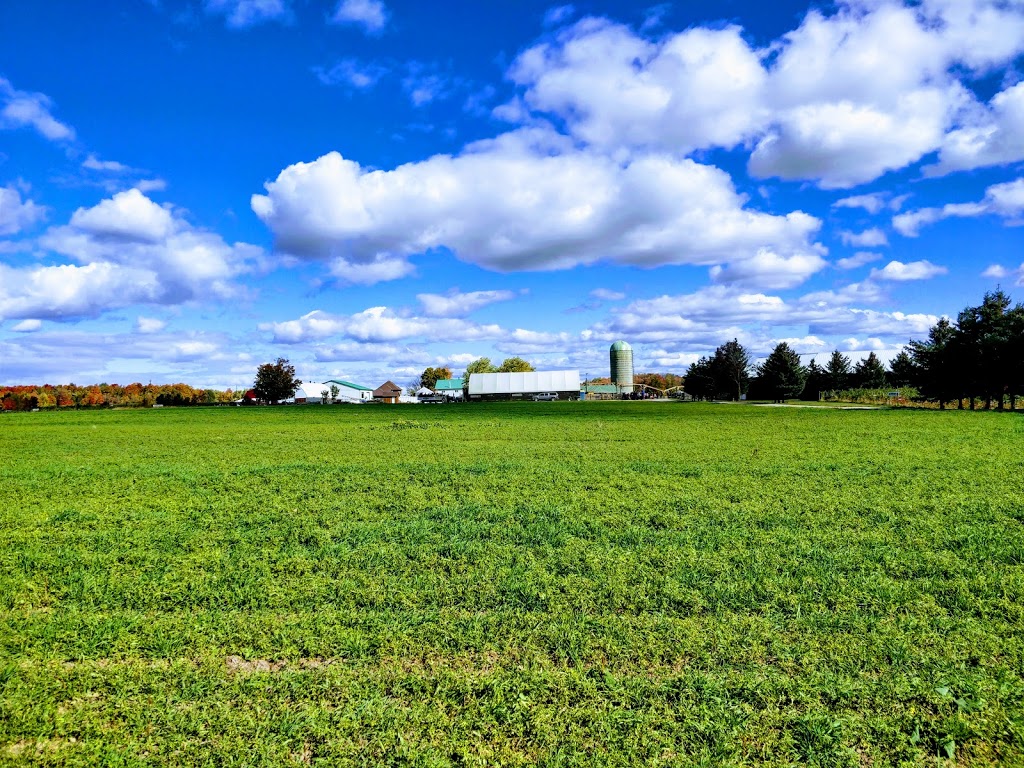 Downeys Farm Market | 13682 Heart Lake Rd, Inglewood, ON L7C 2J5, Canada | Phone: (905) 838-2990